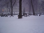 DSC00355
