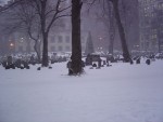 DSC00356