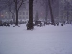 DSC00357