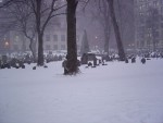 DSC00358