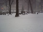 DSC00359