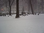 DSC00360