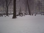 DSC00361