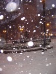 DSC00363