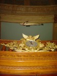 DSC01849