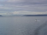 DSC05752